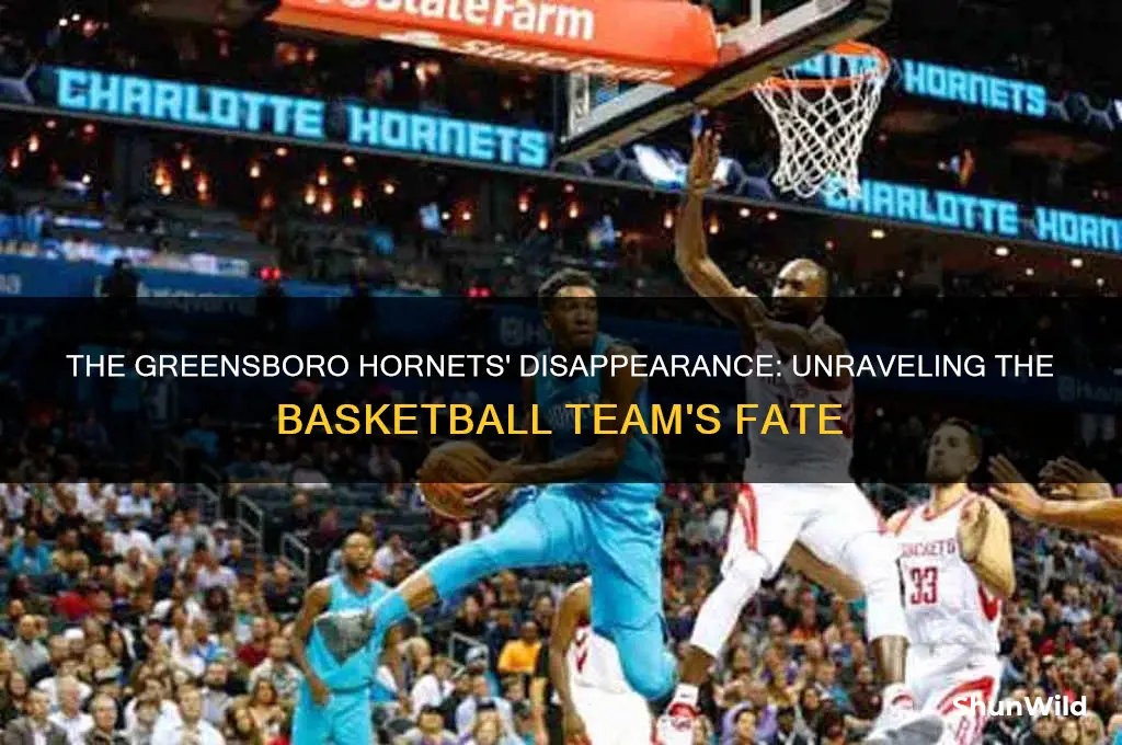 what happened to the greensboro hornets basketball in greensboro nc