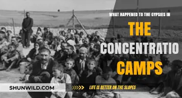 The Forgotten Romani Genocide: Gypsies in Concentration Camps