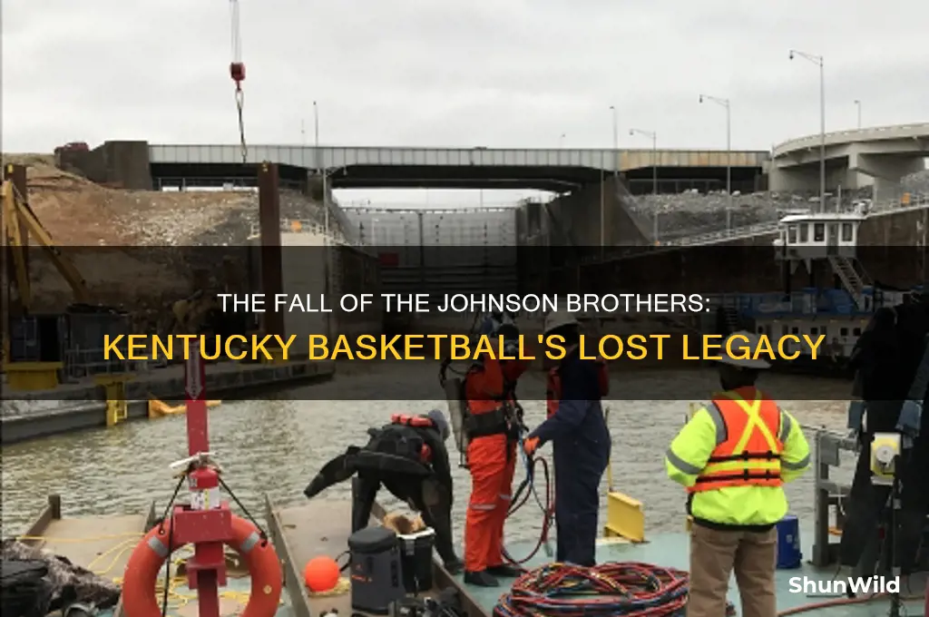 what happened to the johnson brothers kentucky basketball