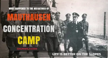 Lost Negatives of Mauthausen: Uncovering the Hidden Horrors of the Holocaust