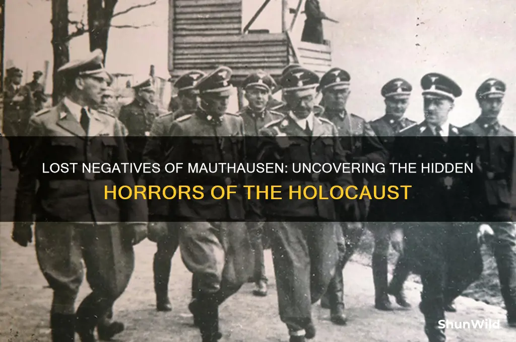 what happened to the neegatives of mauthausen concentration camp