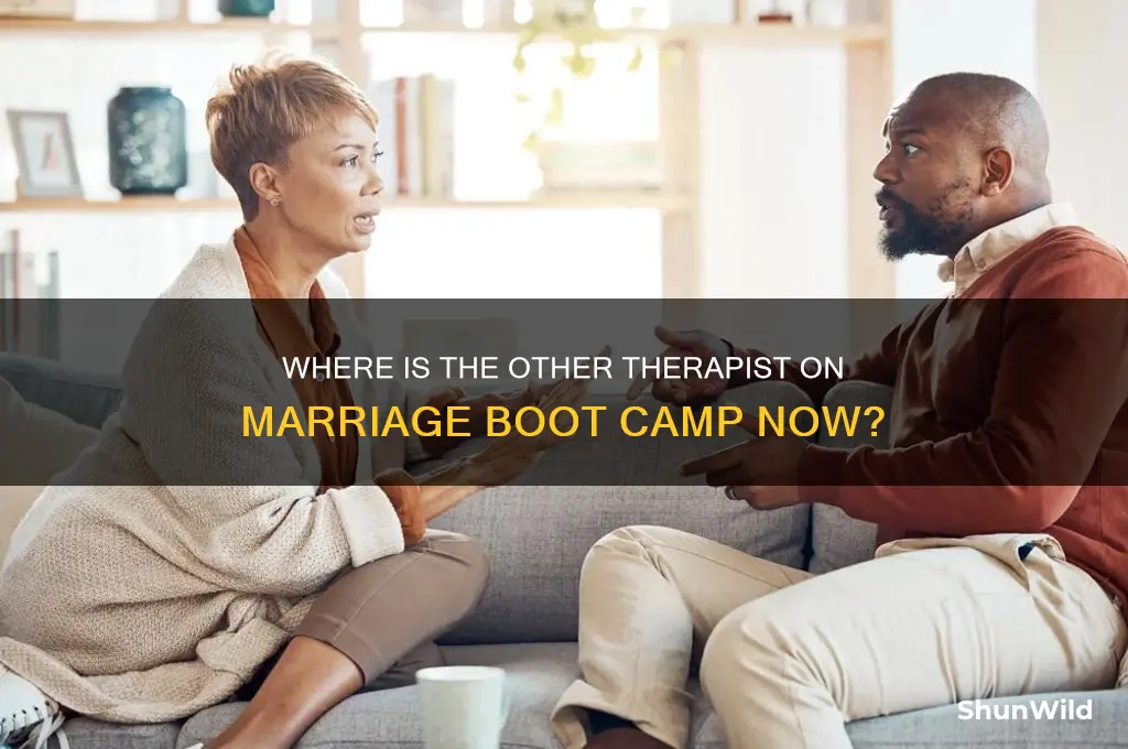 what happened to the other therapist on marriage boot camp