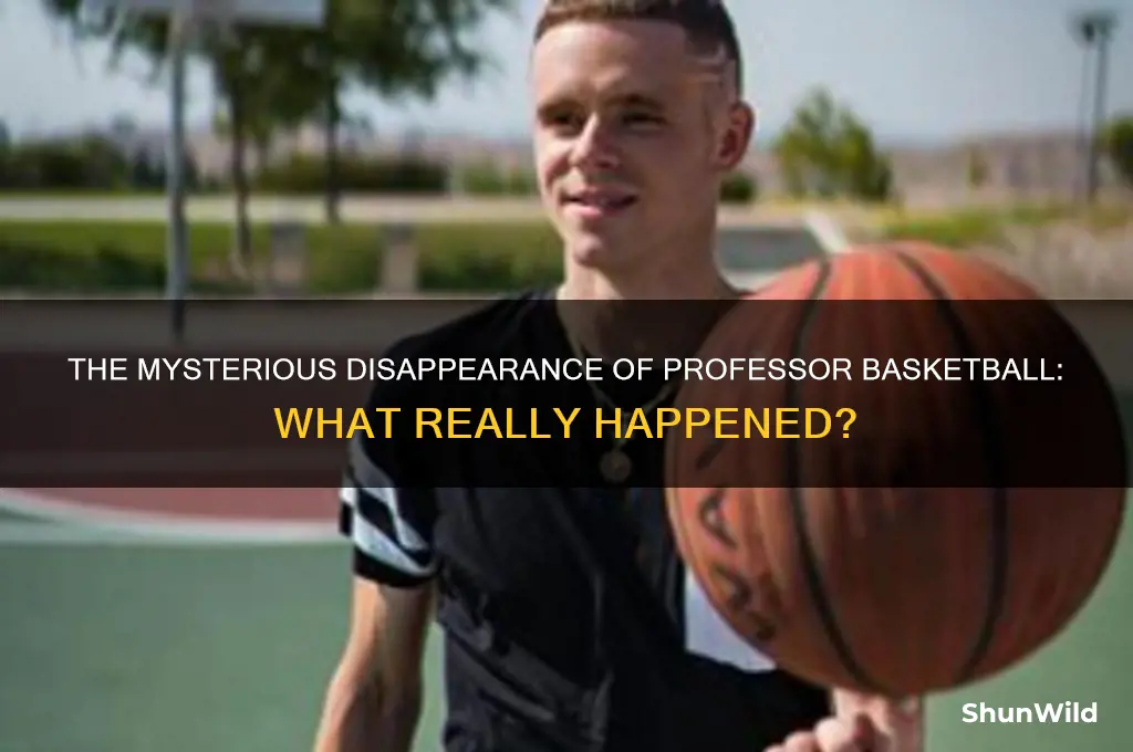 what happened to the professor basketball