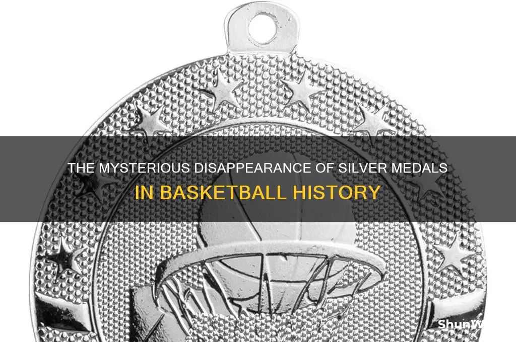what happened to the silver metals basketball