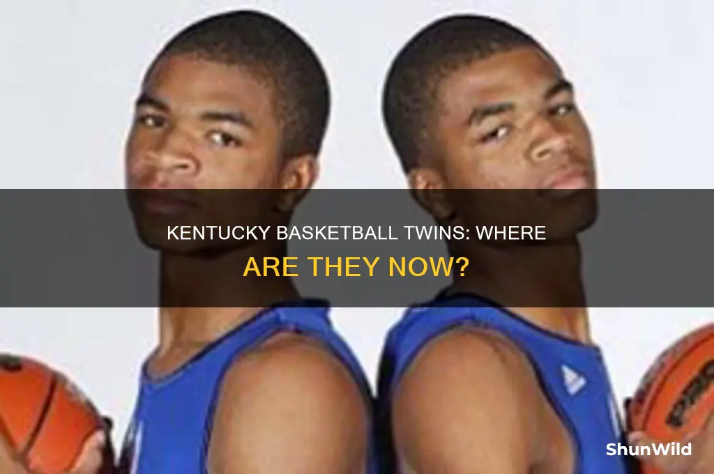 what happened to the twins from kentucky basketball