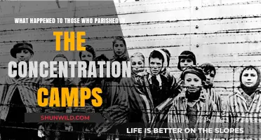 Fate of the Perished: Uncovering Concentration Camp Victims' Untold Stories