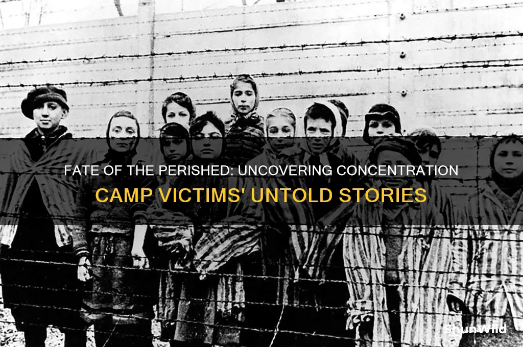 what happened to those who parished in the concentration camps