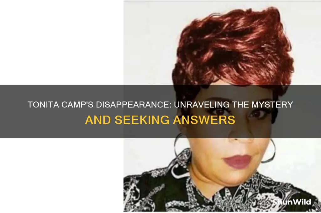 what happened to tonita camp