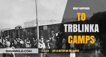 Uncovering the Dark History and Fate of Treblinka Camps