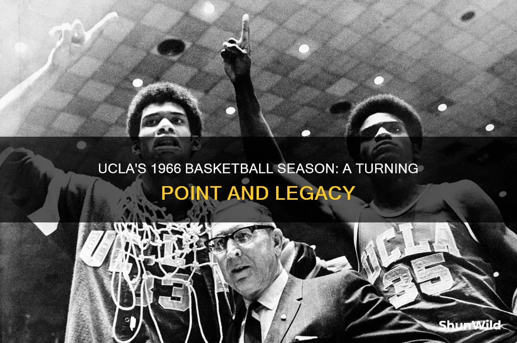 what happened to ucla basketball in 1966
