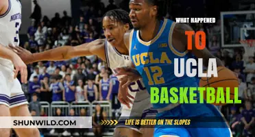 UCLA Basketball's Decline: Unraveling the Bruins' Recent Struggles and Future