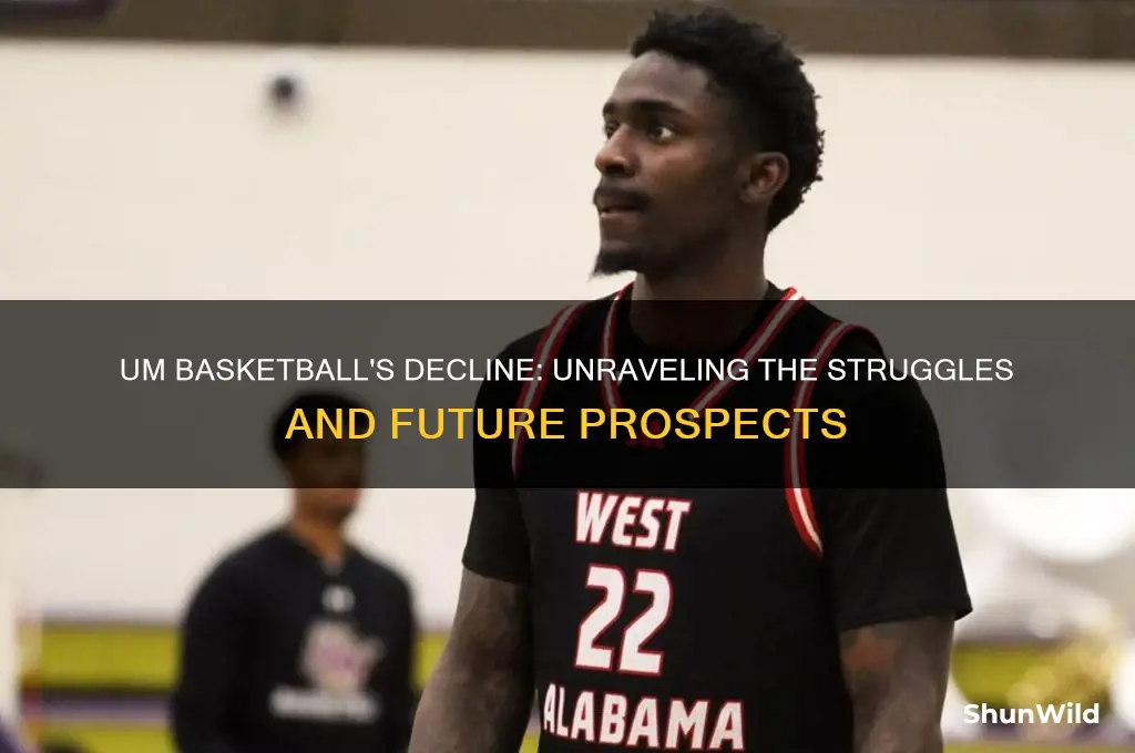 what happened to um basketball