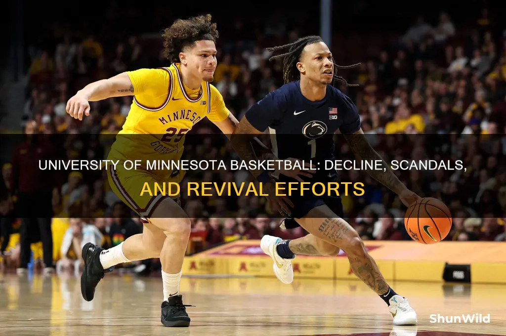 what happened to university of minnesota basketball