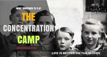 V's Harrowing Concentration Camp Experience: Survival and Resilience Unveiled