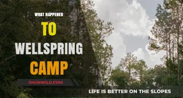 The Mysterious Disappearance of Wellspring Camp: Uncovering the Truth