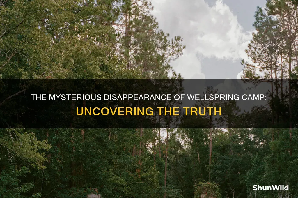 what happened to wellspring camp