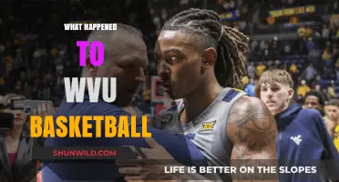 WVU Basketball's Decline: Unraveling the Struggles and Future Prospects
