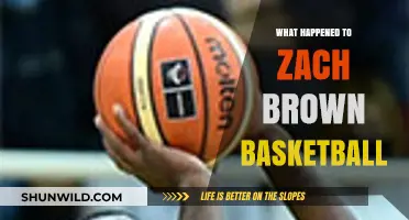 Zach Brown's Basketball Journey: Where Is He Now?