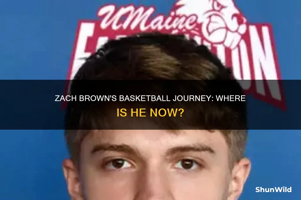 what happened to zach brown basketball