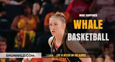 Whale Basketball Mystery: Unraveling the Bizarre Court Invasion Incident