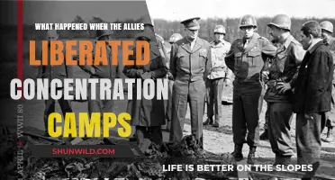 Liberation's Shocking Reality: Allies Confront Nazi Concentration Camps