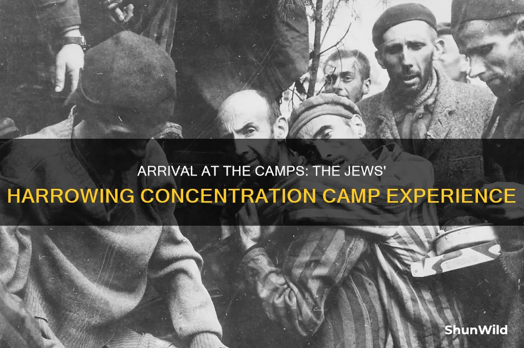 what happened when the jews arrived at the concentration camp