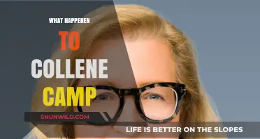 What Happened to Colleen Camp: Her Career and Recent Updates