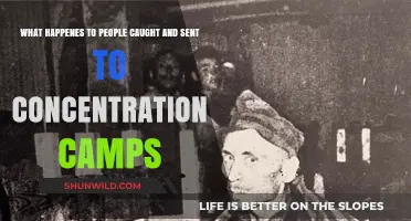 Life in Concentration Camps: Brutality, Survival, and Human Resilience Explained
