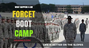 Air Force Boot Camp: Challenges, Training, and Transformation Explained