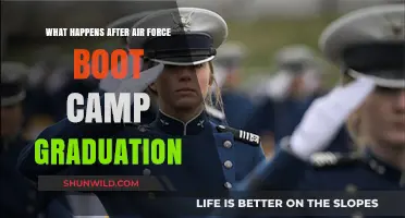Life After Air Force Boot Camp: What Graduates Can Expect