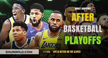 Post-Playoffs: What's Next for NBA Teams and Players?