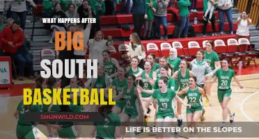 Post-Big South Basketball: Next Steps, Opportunities, and Player Pathways