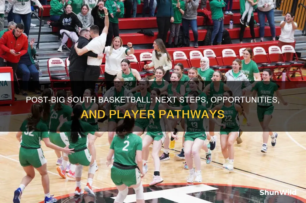 what happens after big south basketball