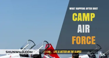 Life After Air Force Boot Camp: What to Expect Next