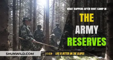 Life After Army Reserves Boot Camp: What to Expect Next