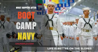 Life After Navy Boot Camp: What to Expect Next