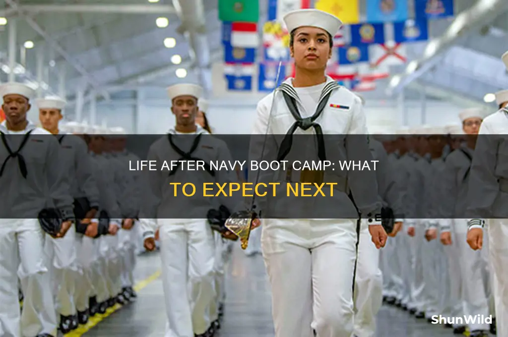 what happens after boot camp navy