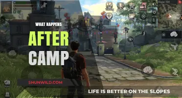 Life After Camp: Navigating the Transition and Staying Connected