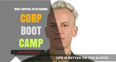 Life After Marine Corps Boot Camp: Transitioning to Military Service