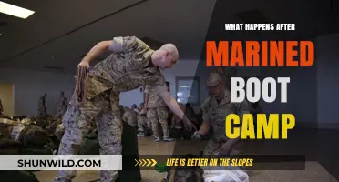 Life After Marine Boot Camp: Challenges, Growth, and New Beginnings