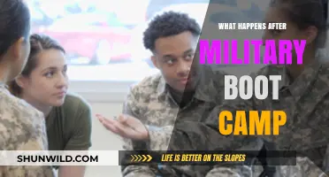 Life After Boot Camp: Navigating Military Career and Personal Growth
