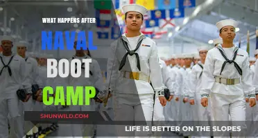 Life After Naval Boot Camp: What to Expect Next