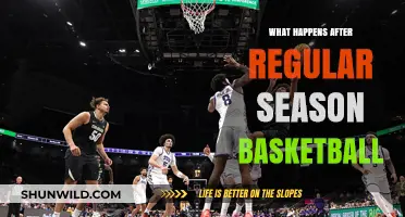 Post-Season Basketball: Playoffs, Championships, and Off-Season Preparations Explained