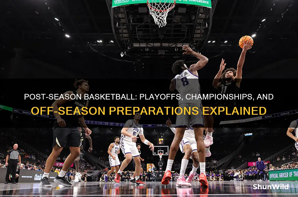 what happens after regular season basketball