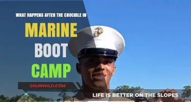 Life After the Crucible: Marine Boot Camp's Final Transformation