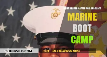 Life After Marine Boot Camp: What to Expect Next