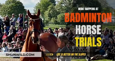 Badminton Horse Trials: A Showcase of Equine Excellence