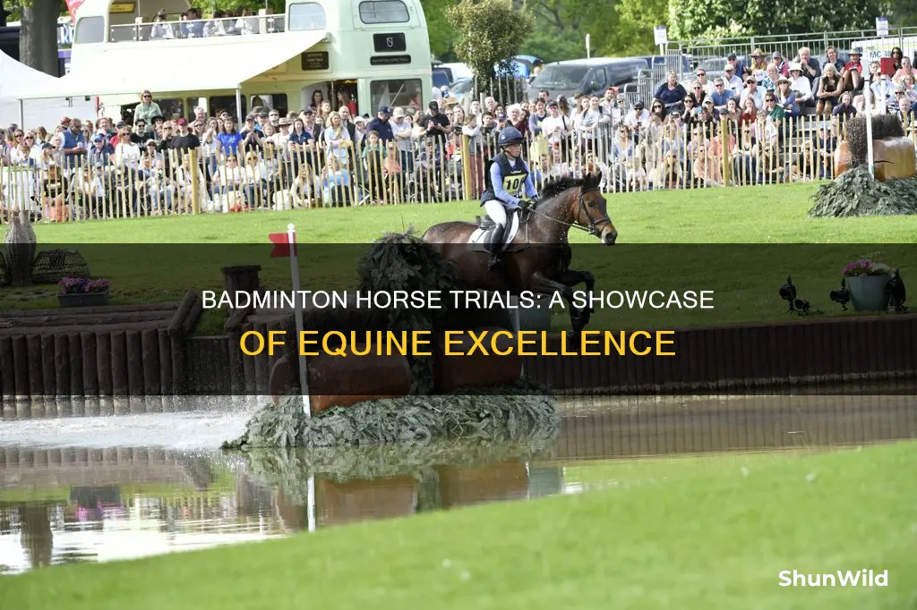 what happens at badminton horse trials
