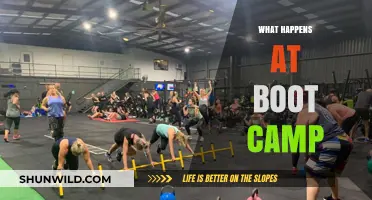Unveiling Boot Camp: Intense Training, Transformation, and Teamwork Explained