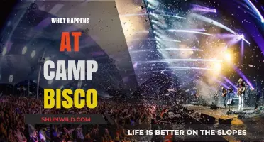 Camp Bisco Unveiled: Music, Magic, and Unforgettable Festival Moments